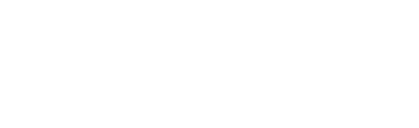 Boomerang Studios logo